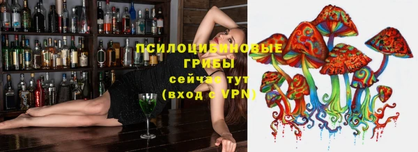 дурь Абинск