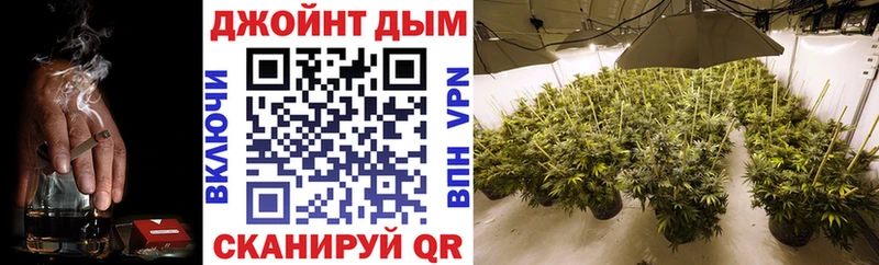 гидра ONION  где купить наркотик  Партизанск  Канабис планчик 
